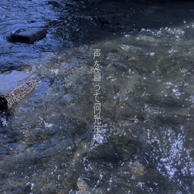 この夏は頑張りました :)動画の画像