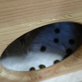 掘ってます！の画像