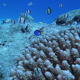 穏やかすぎて幸せっ＊°+.の画像