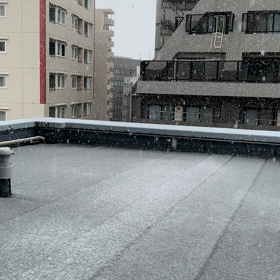 20/3/29 ② 雪、本気で降ってますΣ（ﾟдﾟlll）の画像