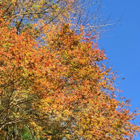 北遠ソロツーの画像