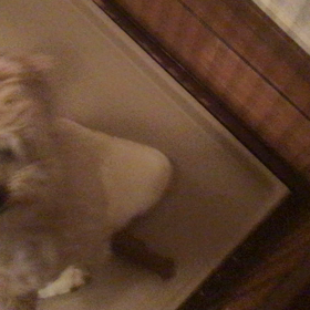 いつもかわいいの画像