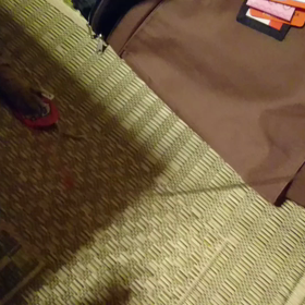 猫じゃらしダイエットの画像