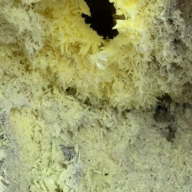 ”幻の龍の卵見つけたｗ皆さんにおすそ分け＾＾”の画像