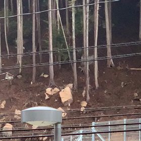 可愛いと思うか、美味そうと思うか…………の話し。の画像