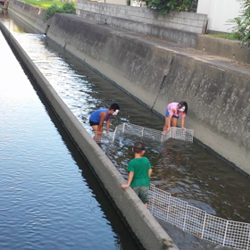 川で大きな魚つかみ取り出来るか！？裏話の画像