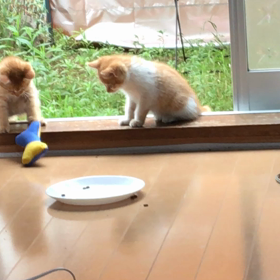 初めてのお もちゃの画像