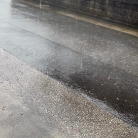 台風の画像