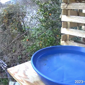 すぎぴたんの事件簿シーズン3　154話（ドリンクバー指定席の争奪戦）の画像