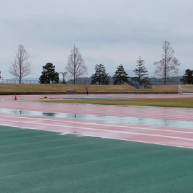 主に室内で…の画像