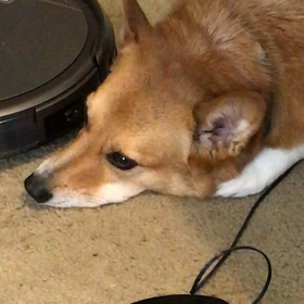 か弱いところを出してきた男の画像