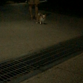 ジャンプ！の画像