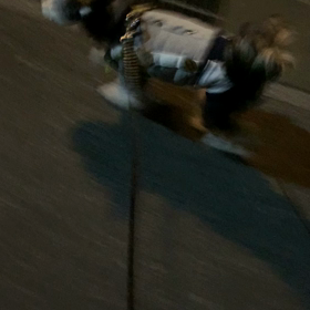 久しぶりのお散歩♫の画像