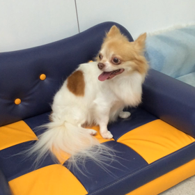 ♪プレイルーム動画♪②の画像