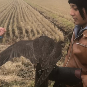 ペレセイカーペレ ルアーの画像