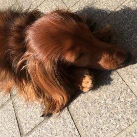 日中は暖かいねの画像