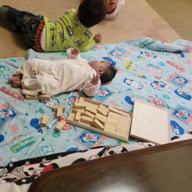 2018/11 ある日のもしもしカメよ～の画像