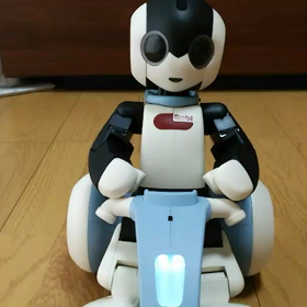 ロビクルとロビくんとの初起動☆の画像