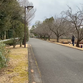 越谷春季記録会男子リレー選考会⑧の画像