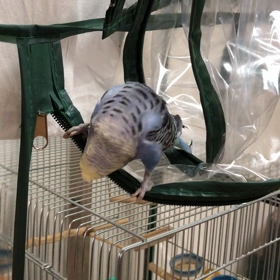 ここ好き(^^)の画像