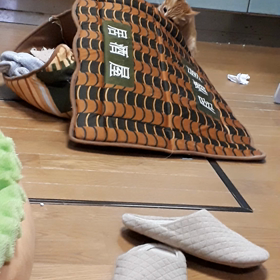 珊瑚の動画の画像