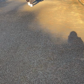 何でもない動画の画像