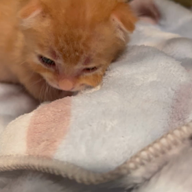 今日のポッチ君の画像