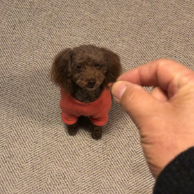 今日の出来事❗️の画像