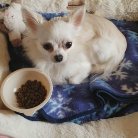 唸った！の画像