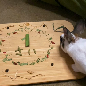 ちゃらびっと1歳♡の画像