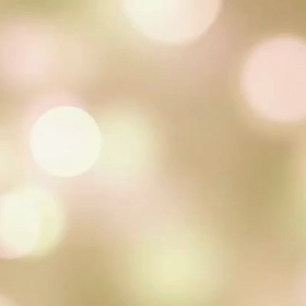 MG グループ レディースSPショップオープンのお知らせ！の画像