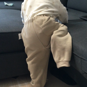 ソファに登れるようになりましたの画像