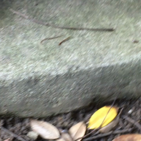 明日、明後日はお休み。の画像