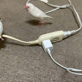 行かないで〜の画像