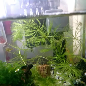 モグモグタイムの画像