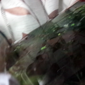 性格悪い…？の画像