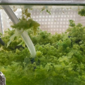 冬支度！の画像