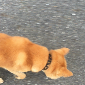 憲俊です。〜出た！〜の画像