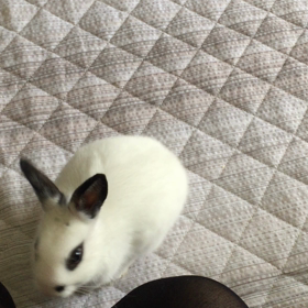 包（ほう）ちゃんと、私の会話♪ -１-の画像