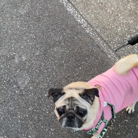 排水溝チャレンジ♪の画像