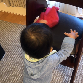 拭き掃除♪の画像