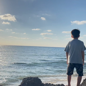 いきなりの画像