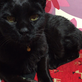 謹賀新年。の画像