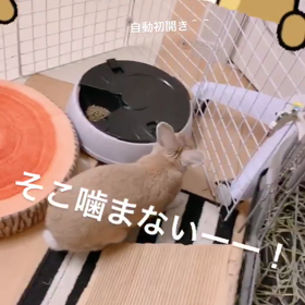自動給餌器の画像