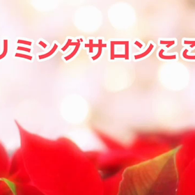 12月　〜スライドショー〜の画像