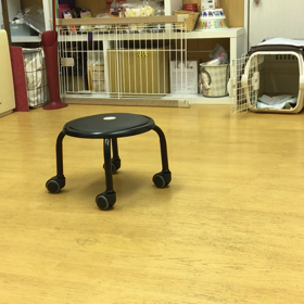 おうちでも入るのだぞ。の画像