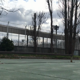 今日のオイラの横乗り自撮り動画　スケートの画像