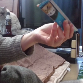 猫えさ、とろ～りshebaを直接あげてみたの画像