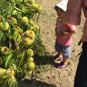 ☆イガイガ☆の画像