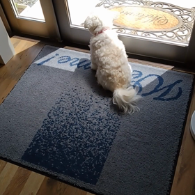 おねしょの画像